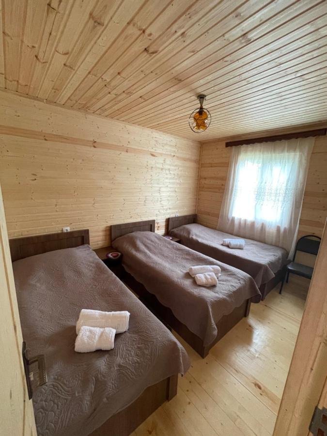 Warm House Guest House Stepantsminda Exterior photo